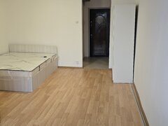 Costin Georgian, Titan, Piata Minis