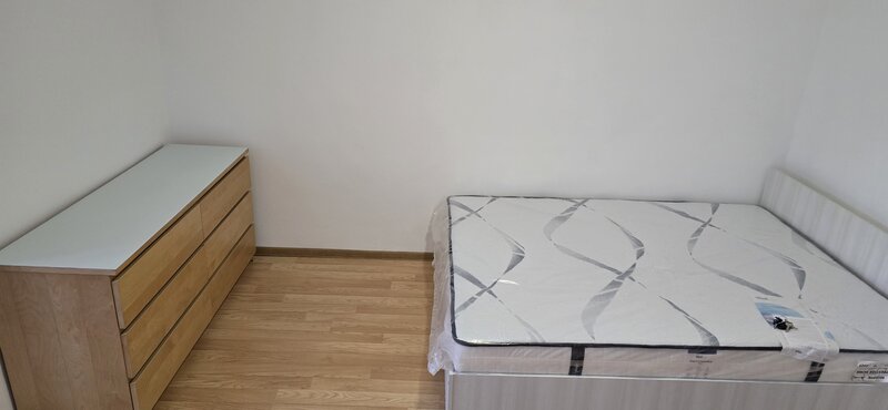 Costin Georgian, Titan, Piata Minis