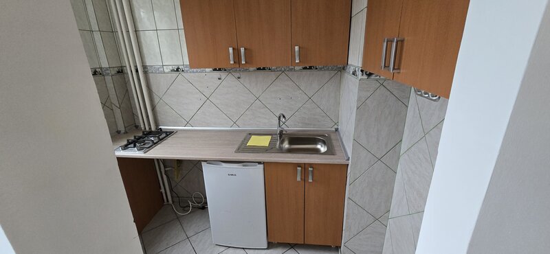 Costin Georgian, Titan, Piata Minis