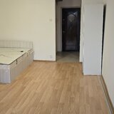 Costin Georgian, Titan, Piata Minis